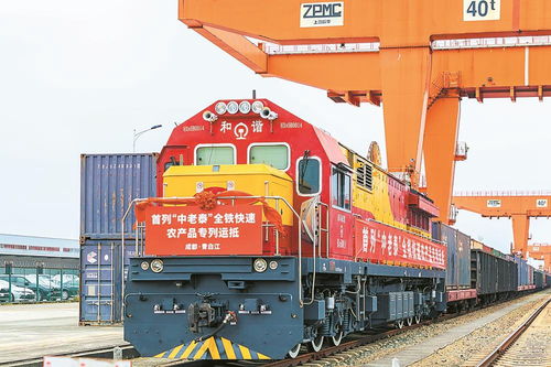 首列中老泰全鐵快速農產品專列抵蓉，國際物流新動脈全面打通